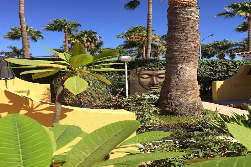 Club Torso Gay Men Only Otel Maspalomas  Dış mekan fotoğraf